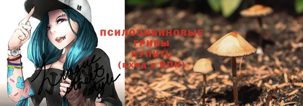ешки Покровск