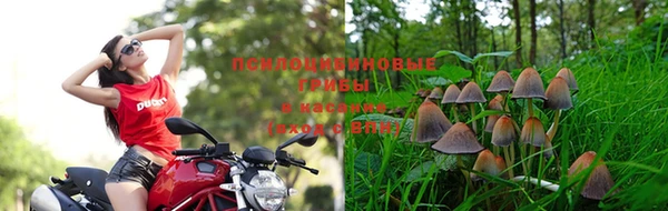 амфетамин Пересвет