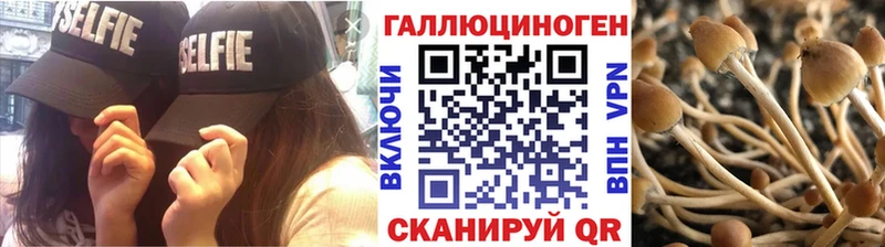 Псилоцибиновые грибы MAGIC MUSHROOMS Тырныауз